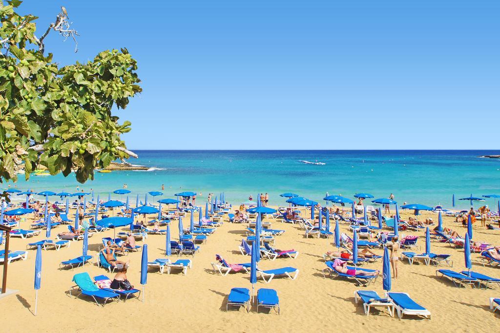 Calypso - Coralli Beachfront Apartment Protaras Eksteriør bilde